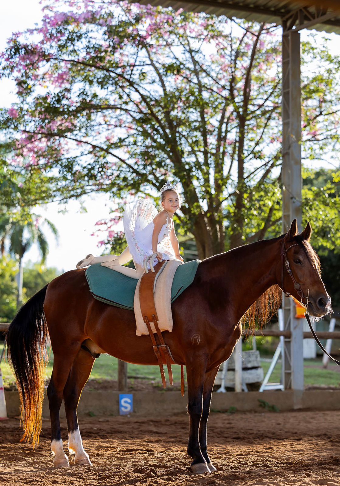 Amazona montando um cavalo baio no picadeiro da Hípica Rancharia