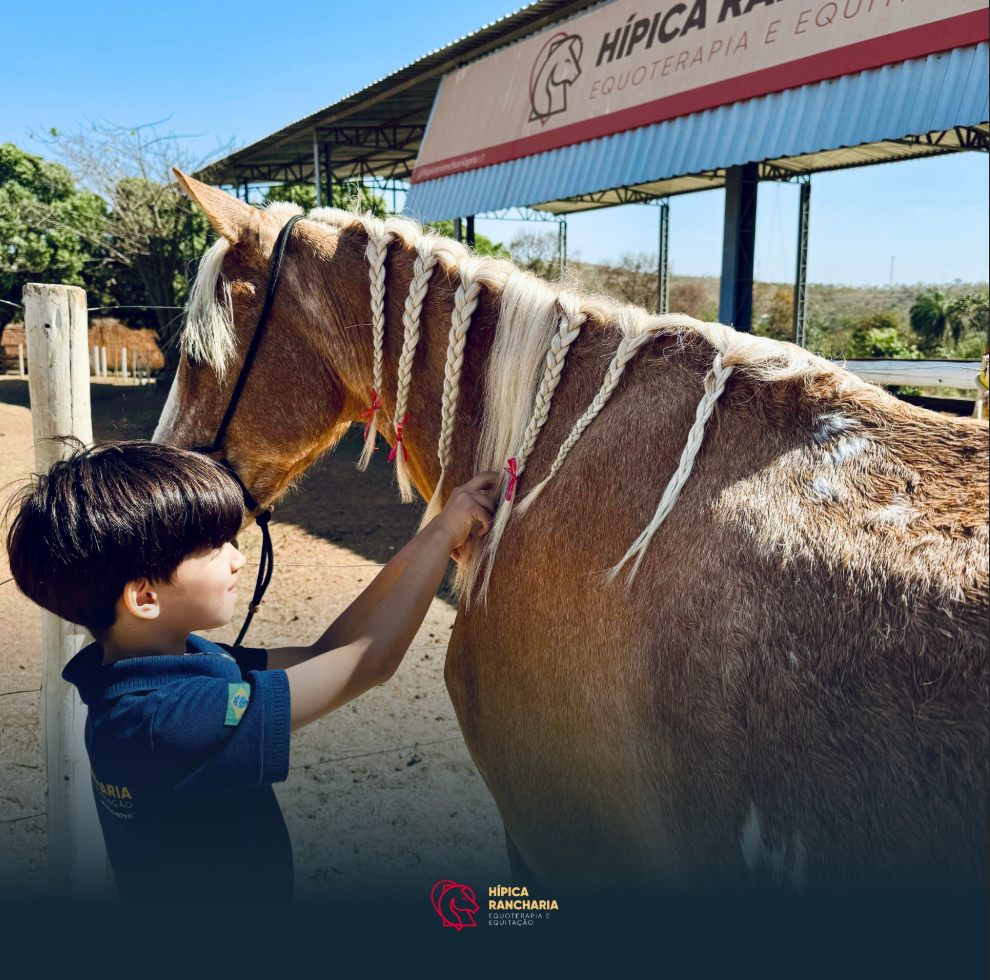 Criança escovando o cavalo na entrada da Hípica Rancharia